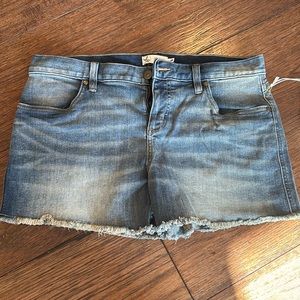 Carve Designs Maui Short